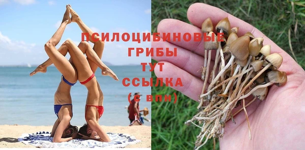прущие крисы Армянск
