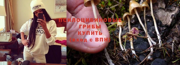 не бодяженный Арсеньев