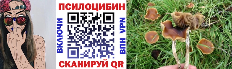 Галлюциногенные грибы Cubensis  Купить где  Ревда 
